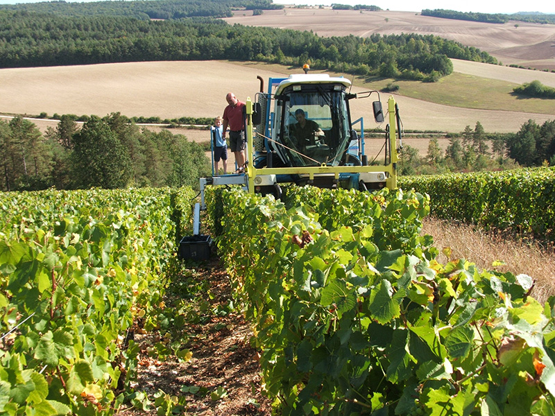 tracteur dans les vignes du domaine roland van hecke producteur de crÃ©mant de bourgogne