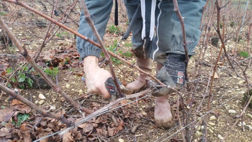 Crémant de Bourgogne Roland VAN HECKE