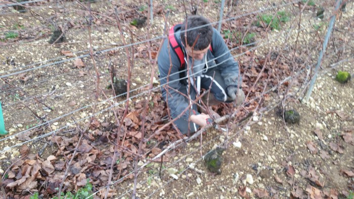 Crémant de Bourgogne Roland VAN HECKE